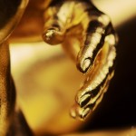 Goldfinger - Bodypainting Gold - Hand und Brust