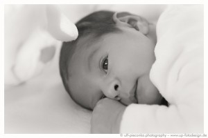 Neugeborenenfoto- Fotograf Würzburg