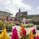 Marktplatz mit Rathaus in Schweinfurt