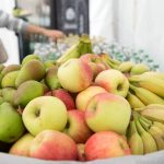 Frisches Obst zum Mittagessen - BUKO 2016 - Fotograf Ulf Pieconka - Würzburg