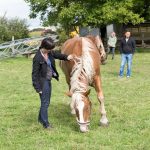 Interaktion mit Pferden - BUKO 2016 - Fotograf Ulf Pieconka - Würzburg